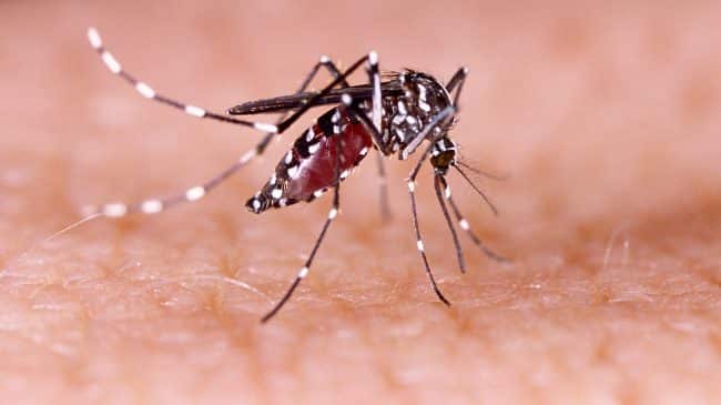 Comment on Proposed Pesticide Experimental Use Permits