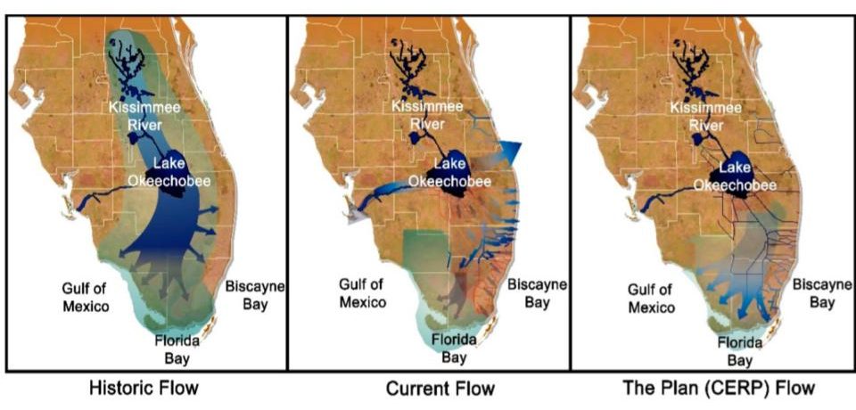 U.S. Army Corps of Engineers, Jacksonville District. Comprehensive Everglades Restoration Plan (CERP)—Water Flow Maps of the Everglades: Past, Present and Future. https://www.mdpi.com/2071-1050/8/9/940/htm#B77-sustainability-08-00940