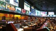 New data shows no surge in problem gambling following sports betting expansion