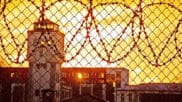 Standardized tracking could help states improve pregnancy care in prisons and jails