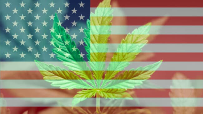 Cannabis Freedom Alliance Launches, Aims to Spur Federal Legalization of Marijuana