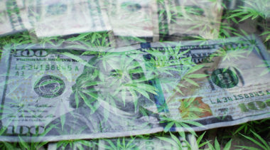 Do Marijuana License Fees Help Keep the Black Market Going?