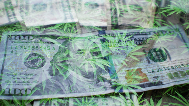 Do Marijuana License Fees Help Keep the Black Market Going?