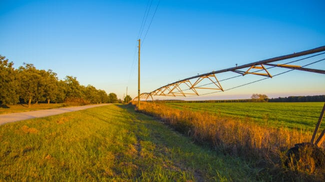 Georgia ballot measure to expand tax exemptions for family-owned farms (2022)