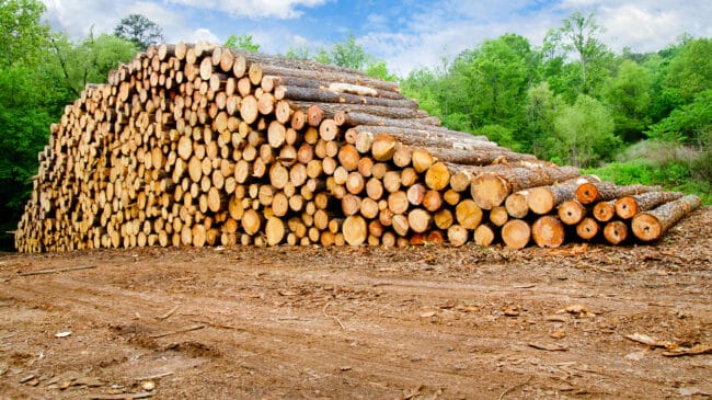 Georgia measure to make timber equipment exempt from property taxes (2022)