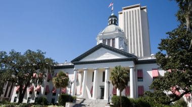 Florida Ballot Amendment Analysis: Amendment 10