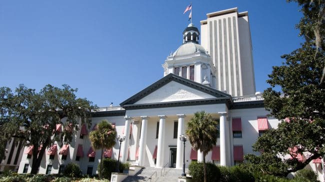 Florida Ballot Amendment Analysis: Amendment 10