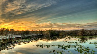 How Using Public-Private Partnerships and Ending Sugar Subsidies Could Help Restore Florida’s Everglades