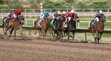 National Horsemen’s Benevolent and Protective Association v. Black